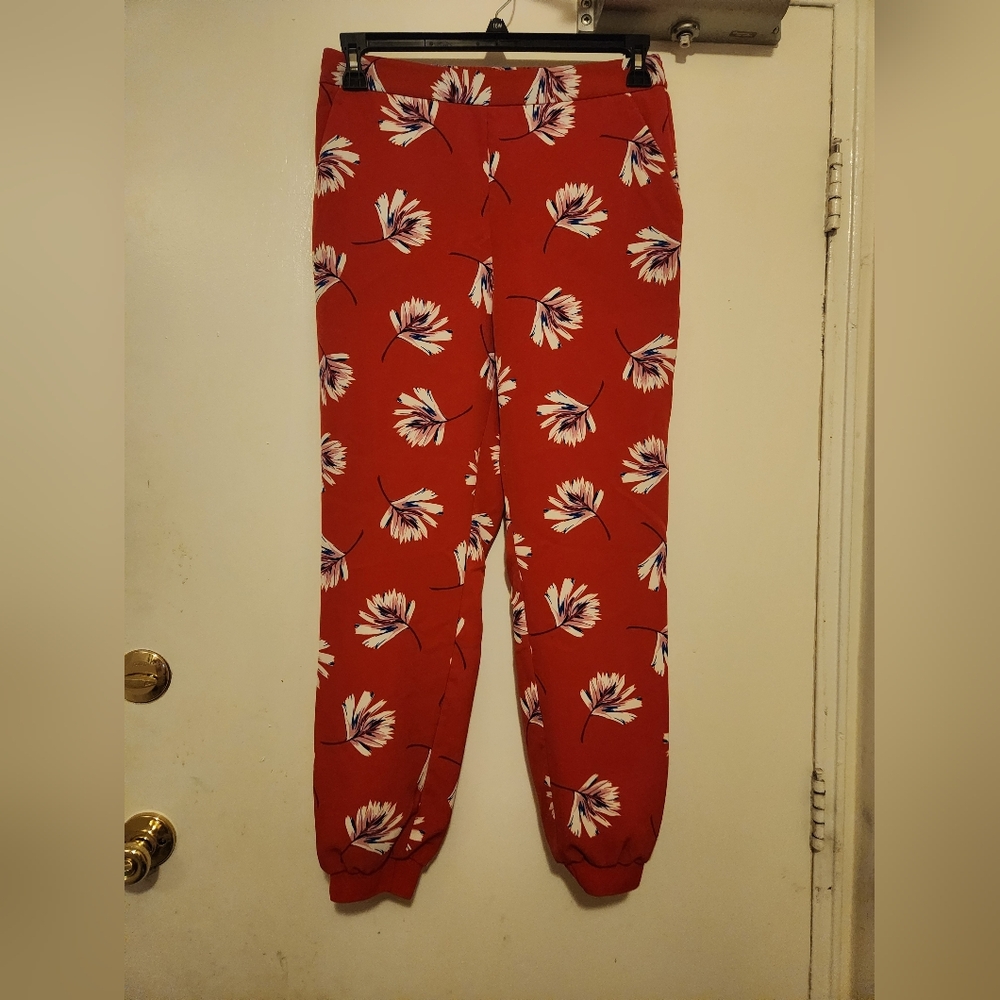 EUC Express pants